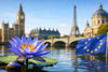 Is Blue Lotus Legal in the UK and Europe?