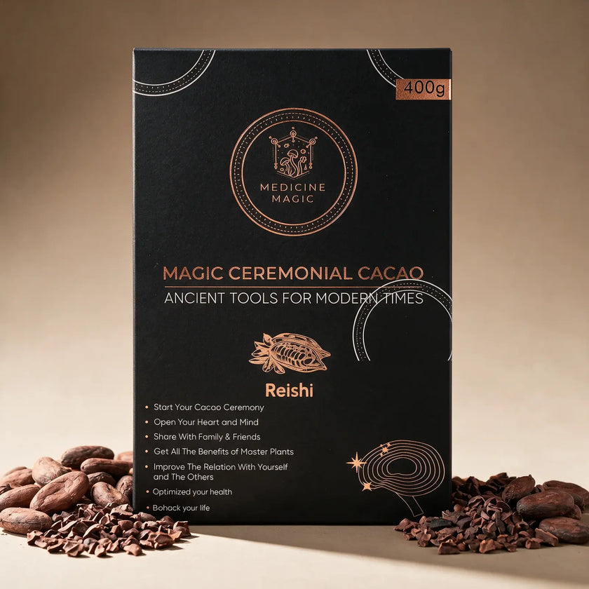 Ceremonial Cacao Reishi – A Ritual for Evening Calm