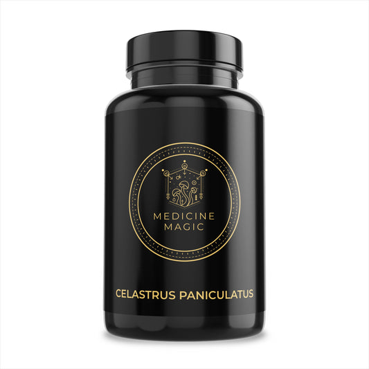 Intellectual Tree(Celastrus Paniculatus) X 60 Capsules